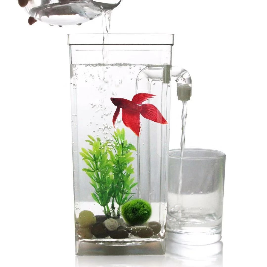 Aquarium Fish Betta - Tanque de peces de escritorio con