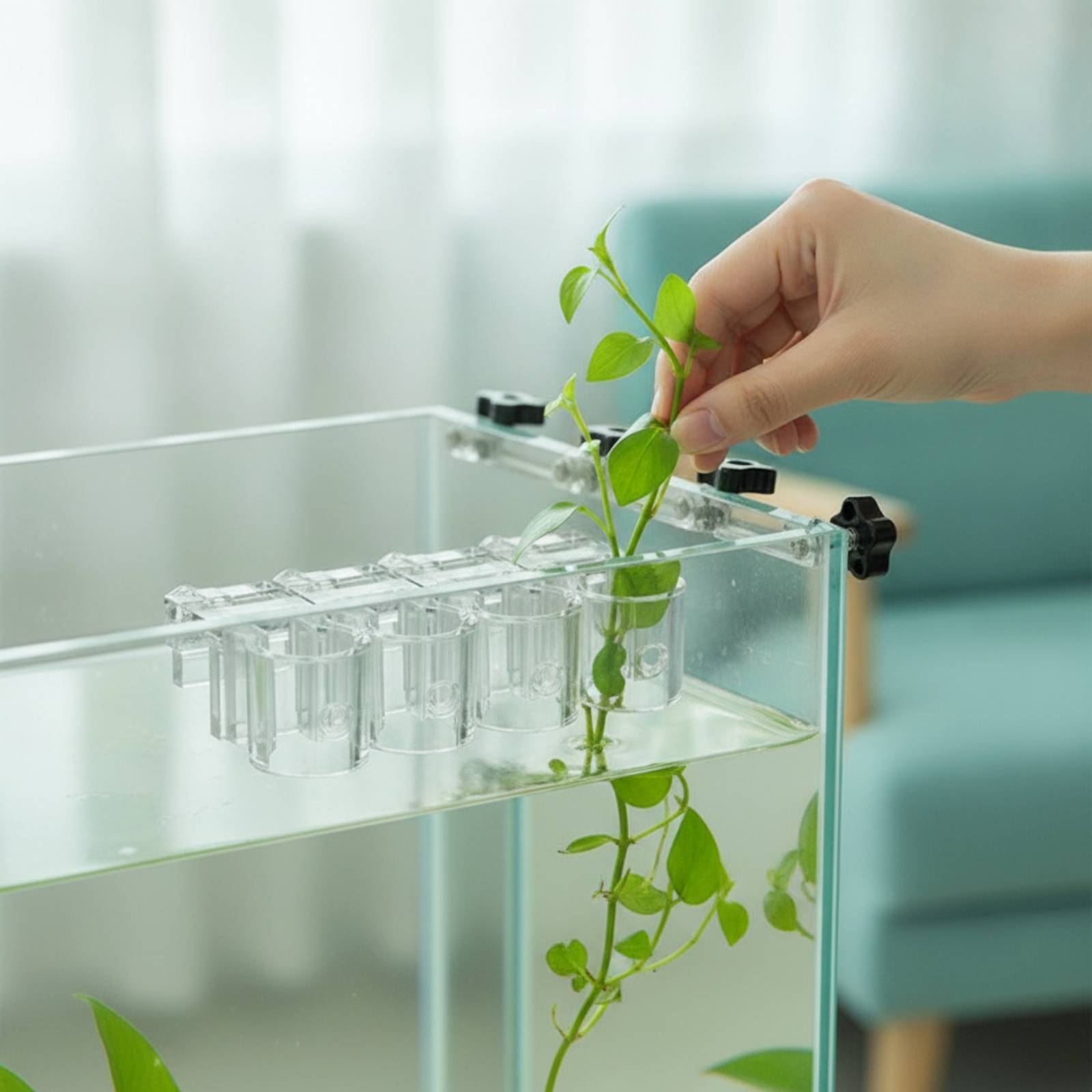 6 Piezas de Soportes Transpare - Aquarium Plants reseña y precio