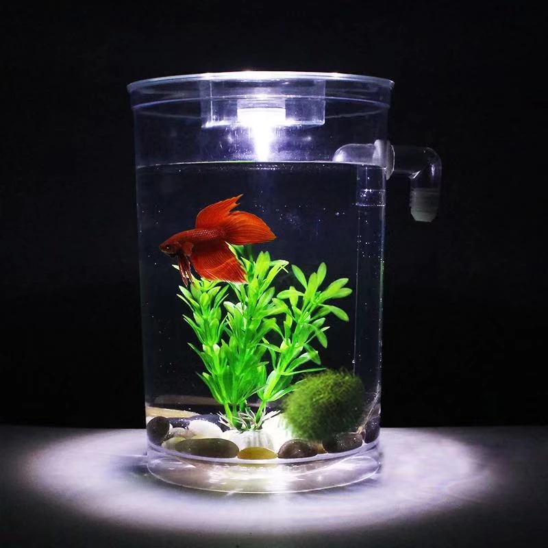 Tanque de peces de escritorio  - Aquarium Fish Betta reseña y precio