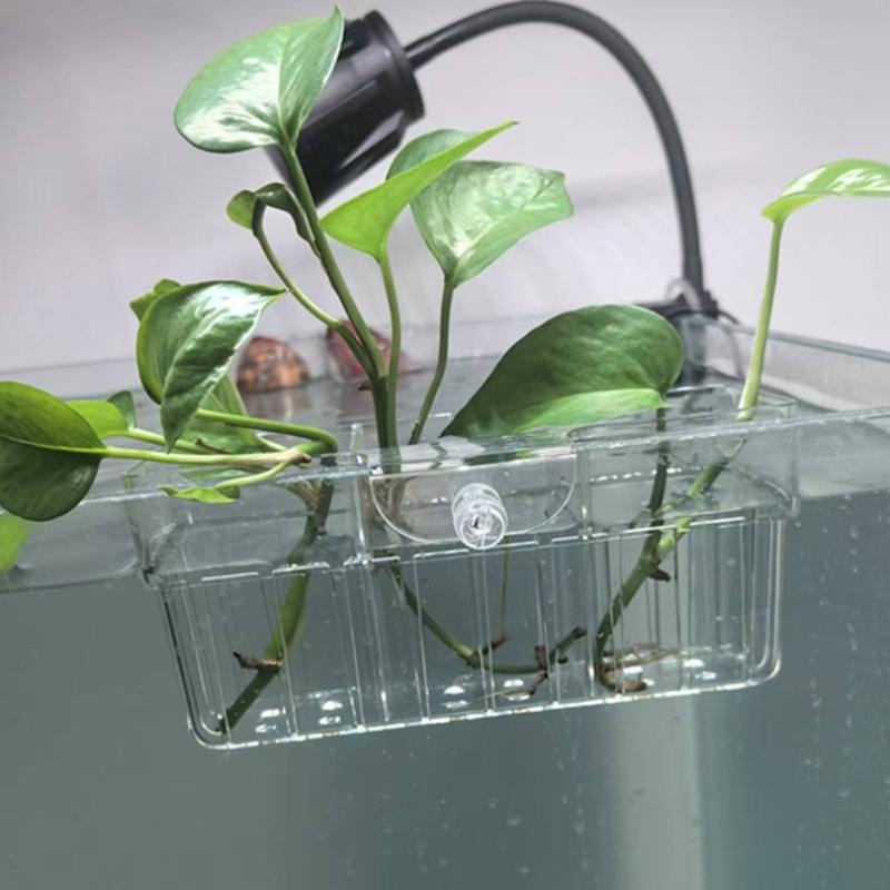 Cesta para Plantas Hidropónica - Aquarium Fish Tank reseña y precio