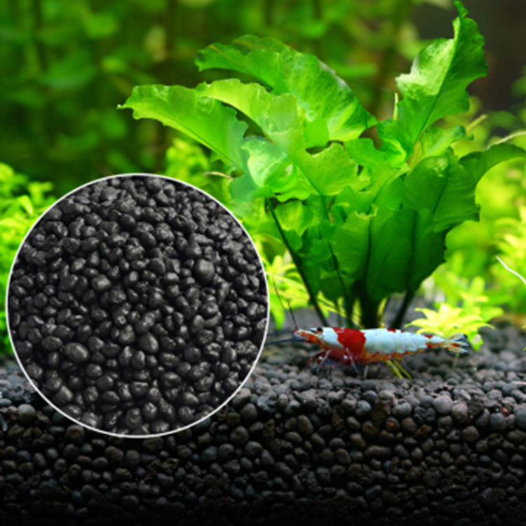 Semillas de plantas de Acuario - Fish Tank Gravel reseña y precio