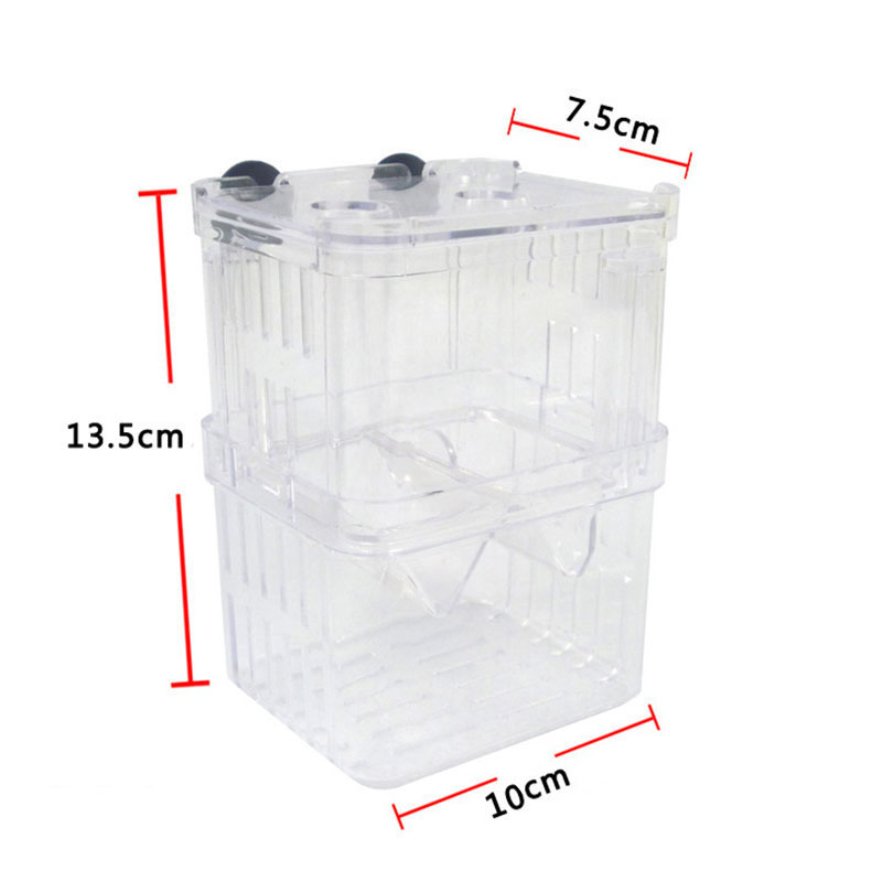 Caja de aislamiento para cría  - Betta Fish Tank reseña y precio