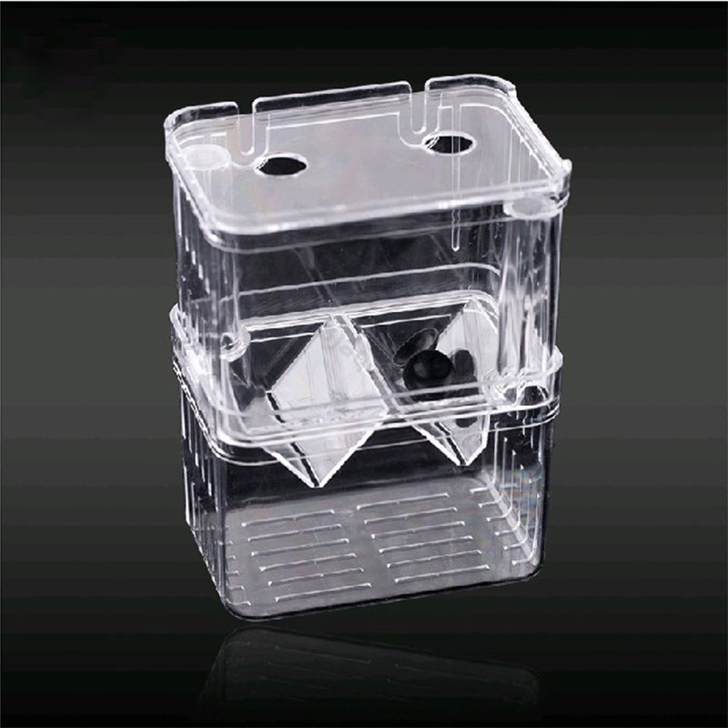 Caja de aislamiento para cría  - Betta Fish Tank reseña y precio